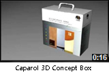 Caparol 3D Concept presentation